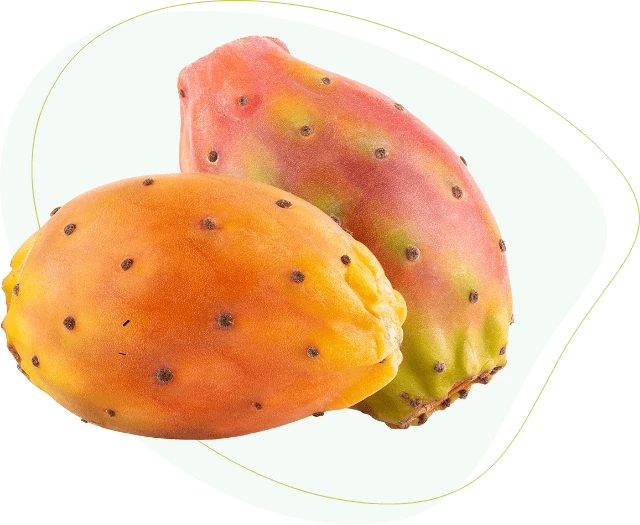 Figues de barbarie, l'ingrédient Cacti-Nea™