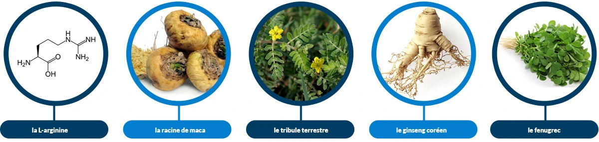 Composition des ingrédients naturels d'Eron Plus