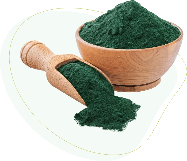 Poudre de spiruline en gros plan